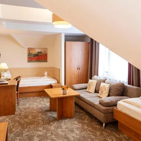 Maximilian & / Basel Hotel 3*